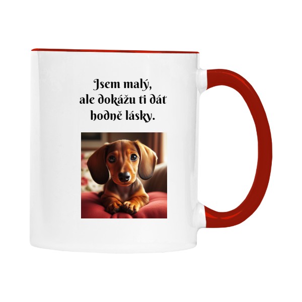 Jsem malý, ale dokážu ti dát hodně lásky.